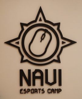 Покраска пенопласта